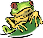 青蛙