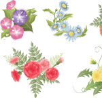 几款柔和风格的花纹