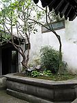 风景