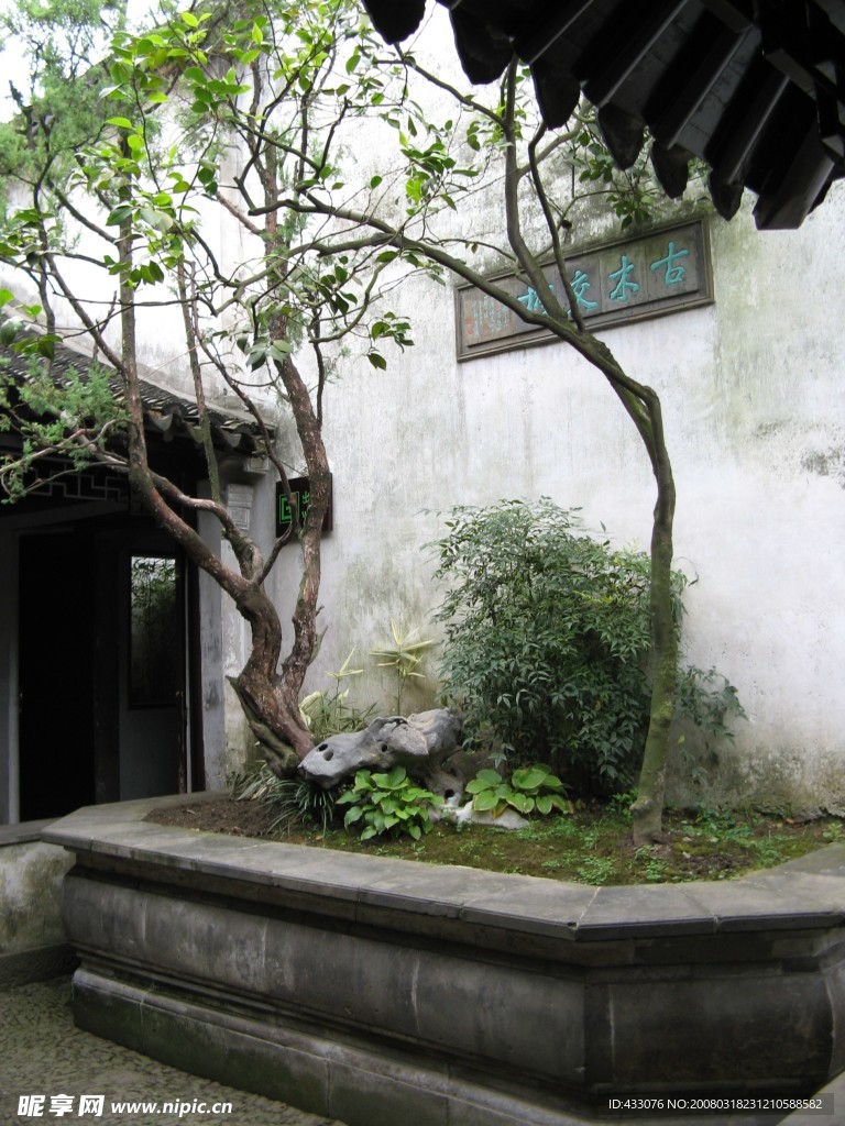 风景