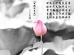 廉洁