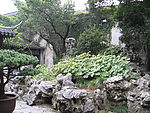 风景