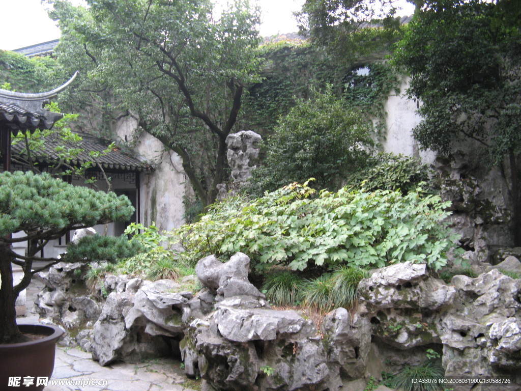 风景