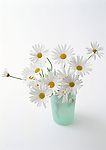 花瓶中的花