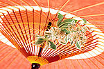 花卉伞