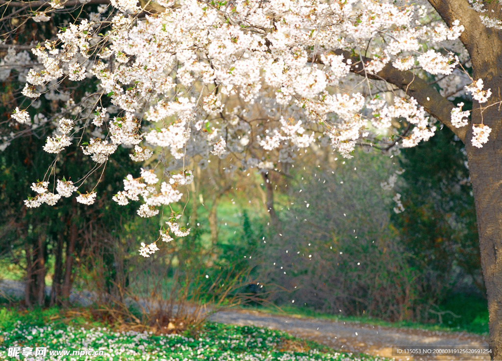 春暖花开