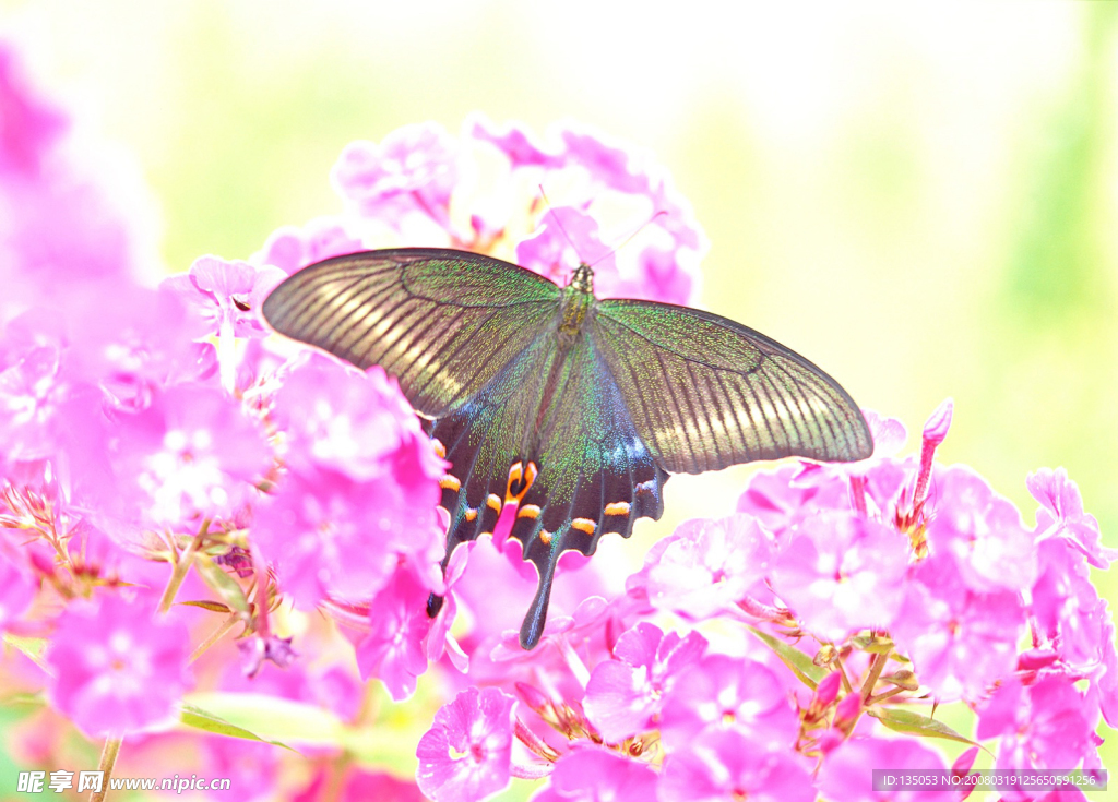 春暖花开