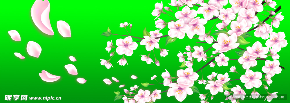 春天梅花psd