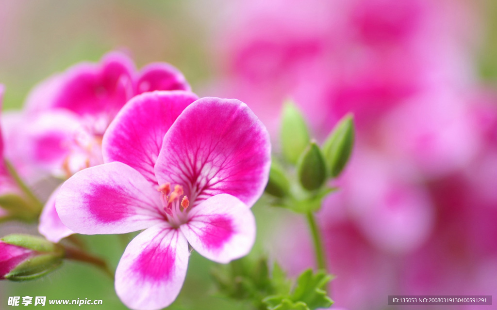 春暖花开