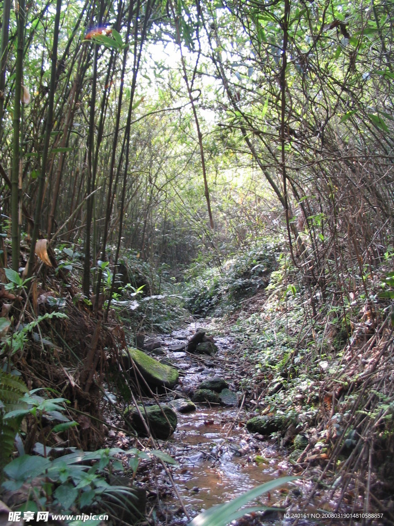 山间小溪