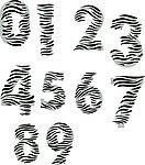 特色 字母
