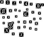 特色 字母