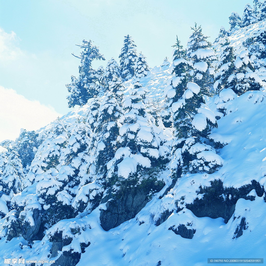 冰天雪地