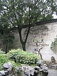 风景