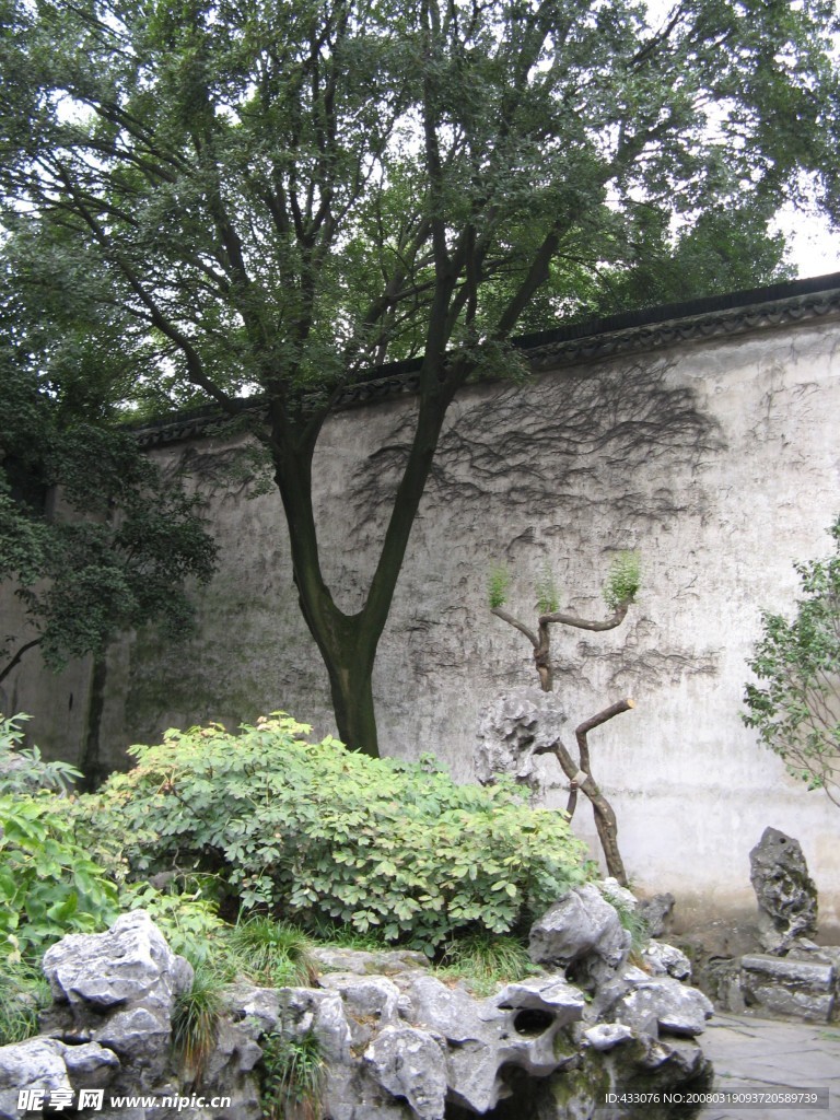 风景
