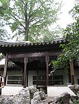 风景