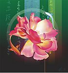 金鱼