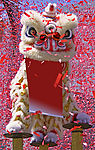 舞狮表演