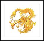 金龙