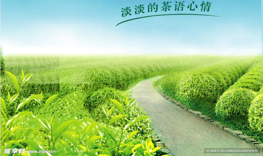 茶叶背景