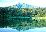 青山绿树绿水