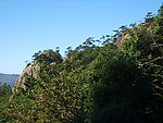 黄山风光