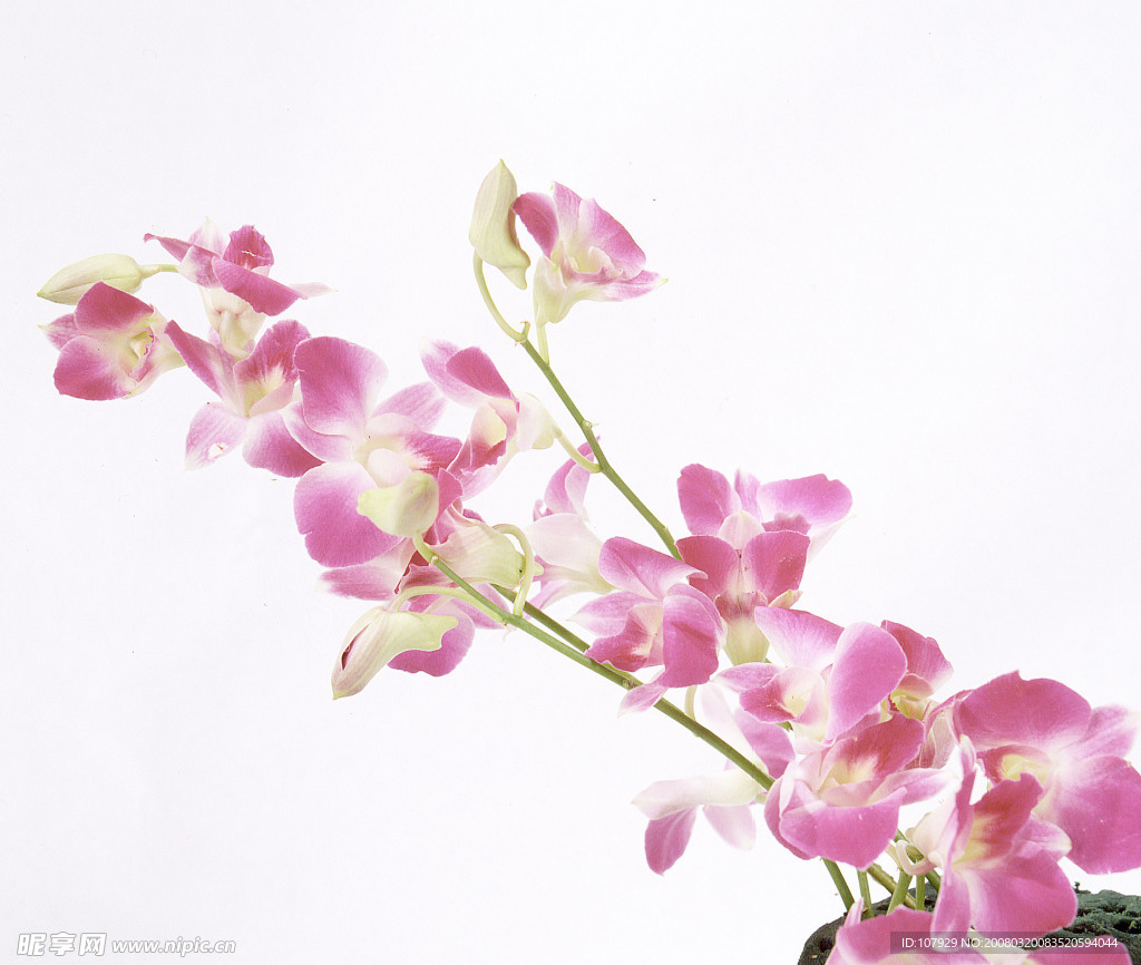 花束