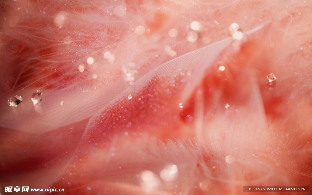 梦幻季节-秋天 冬天