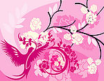 花边鸟