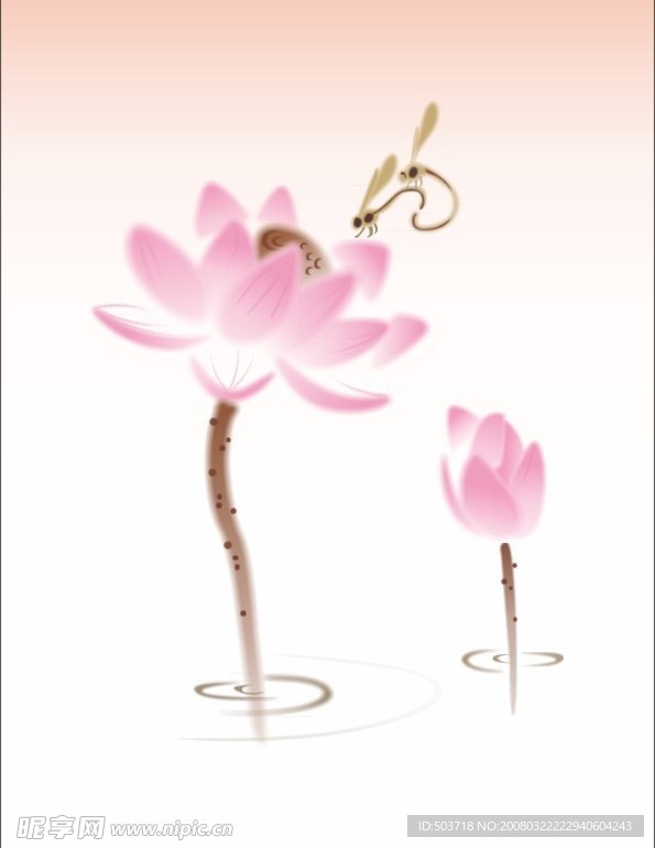 国画荷花