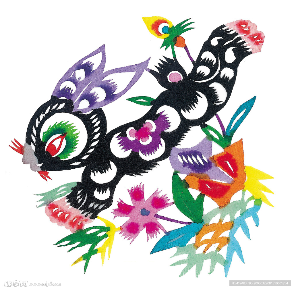 生肖  兔