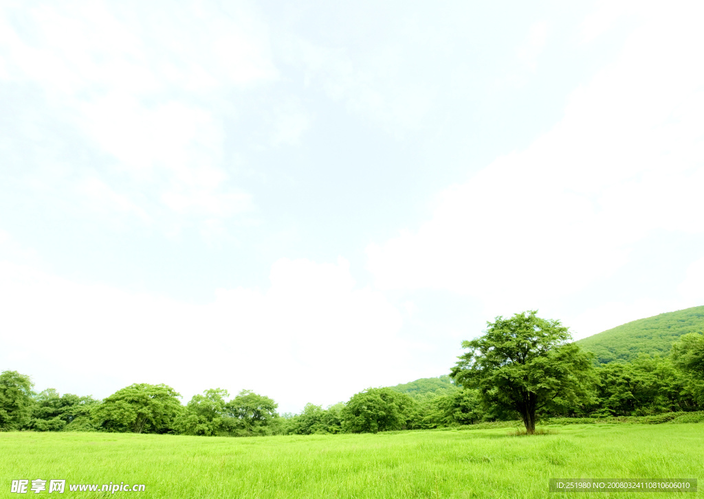 草原草地