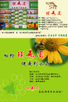 画册设计