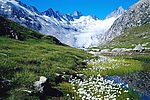 瑞士山水欣赏