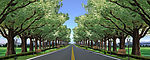 高清宽屏公路  影墙