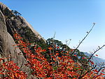 黄山风光