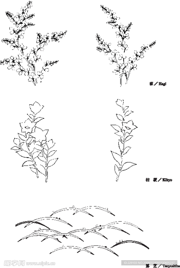 日本专业设计矢量花草