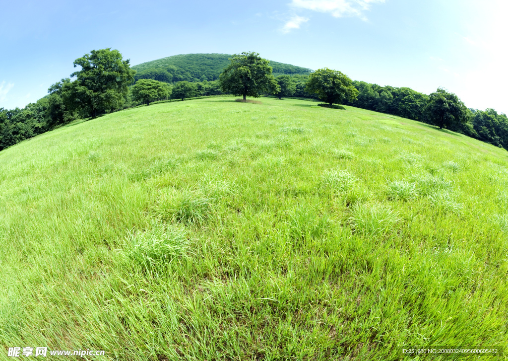 草原草地