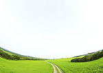 草原草地