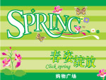春姿绽放