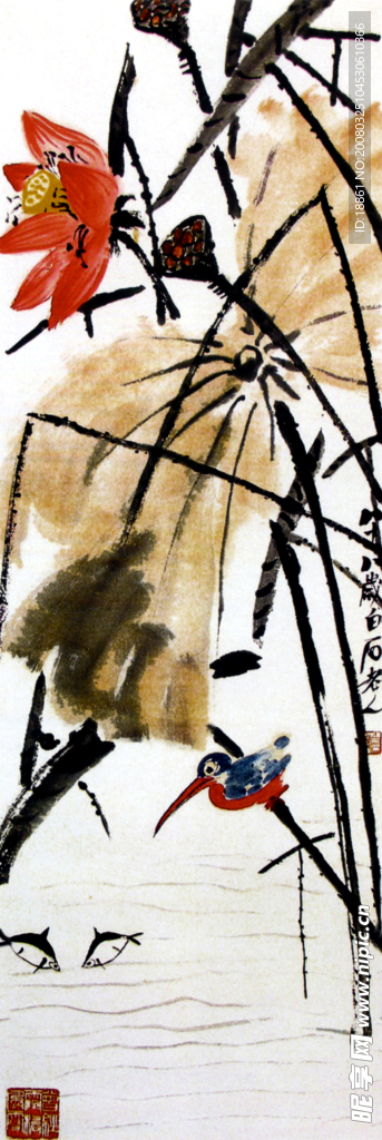 荷花国画