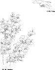 日本专业设计矢量花草