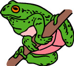 青蛙
