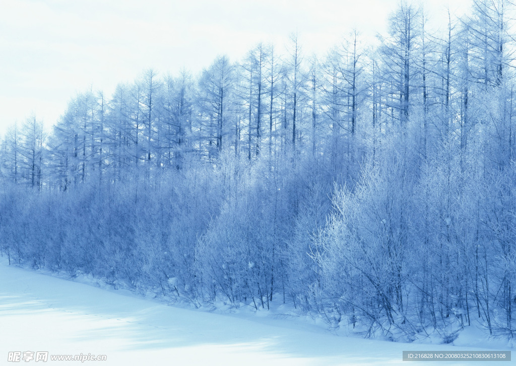 雪景素材，高精度摄影照片
