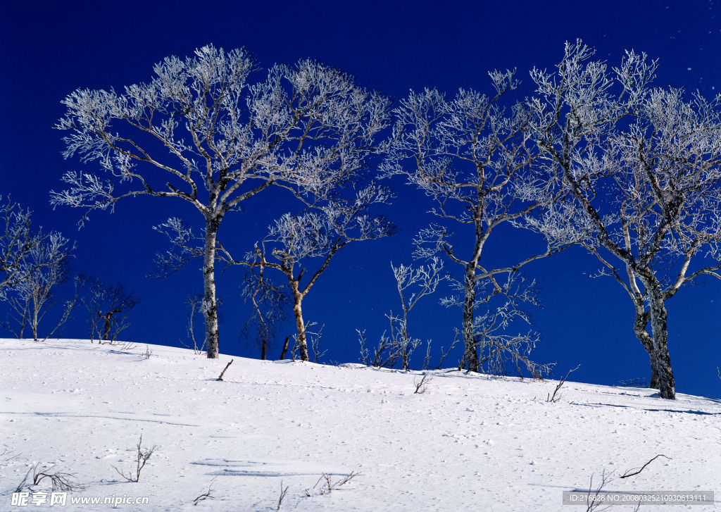 雪景素材，高精度摄影照片