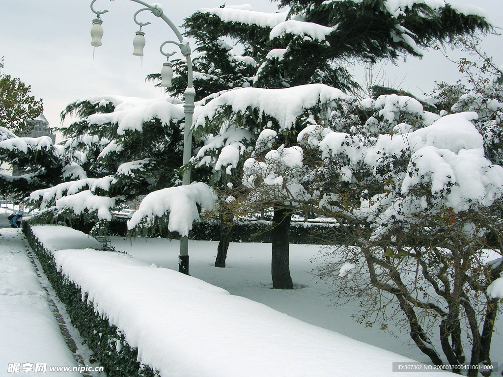 雪景