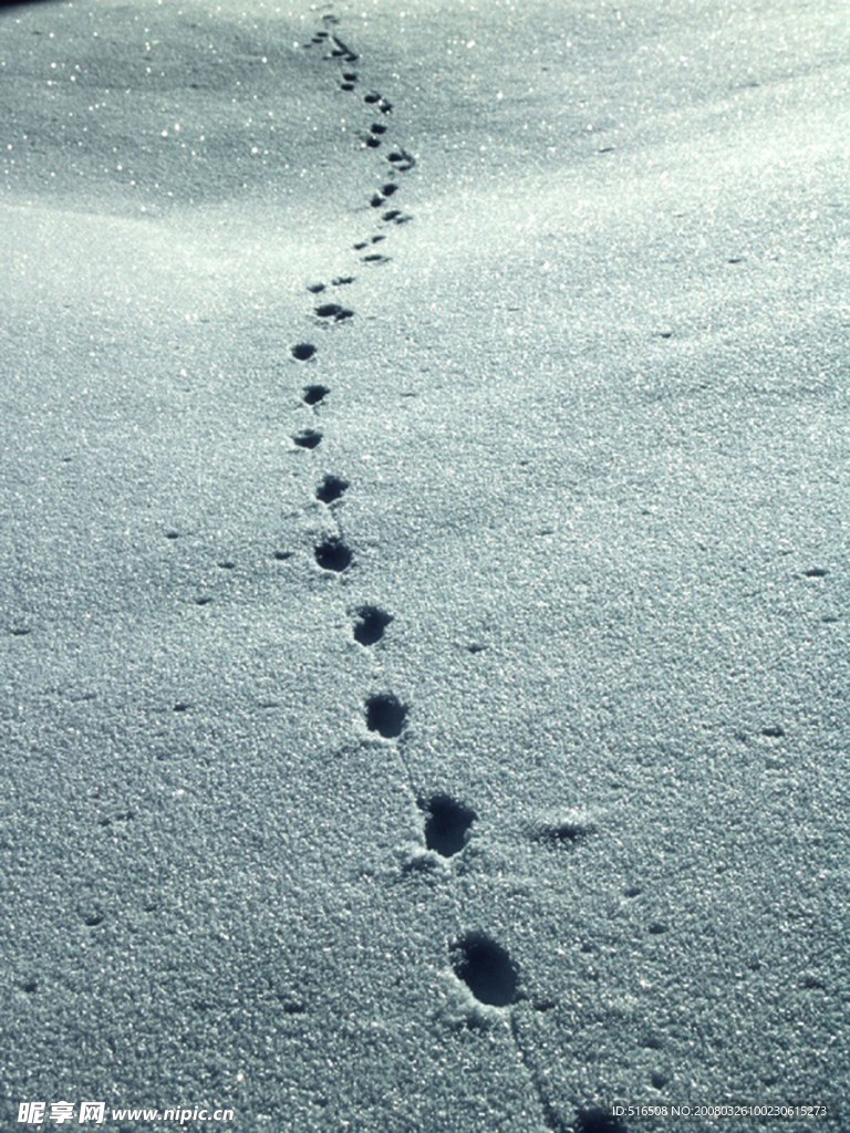 雪中脚印