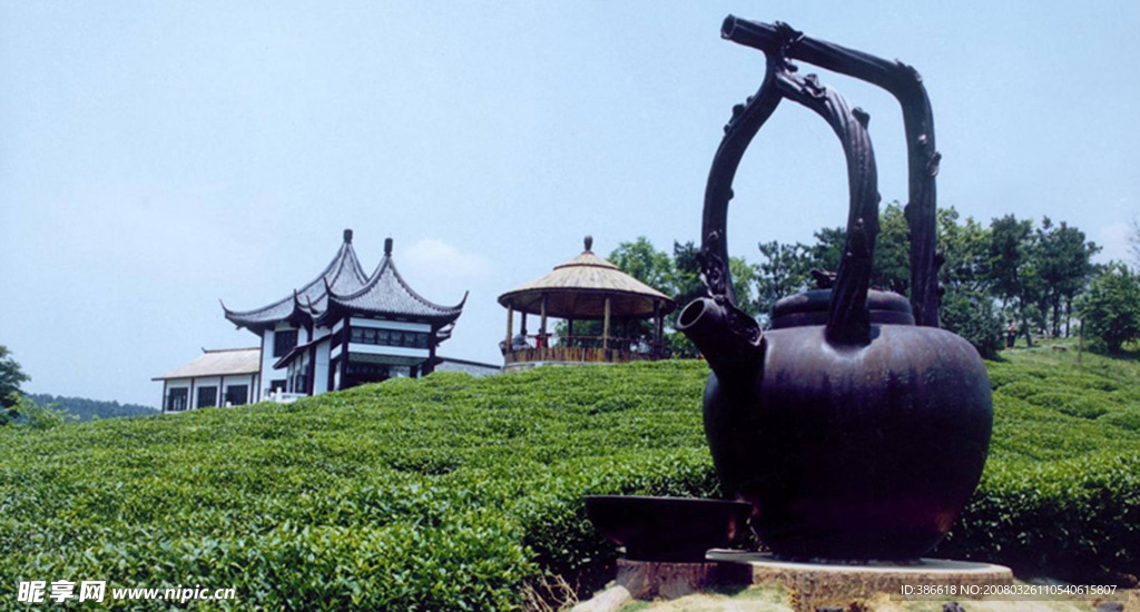 天目湖天目茶苑