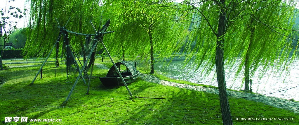 天目湖杨柳