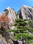 黄山风光